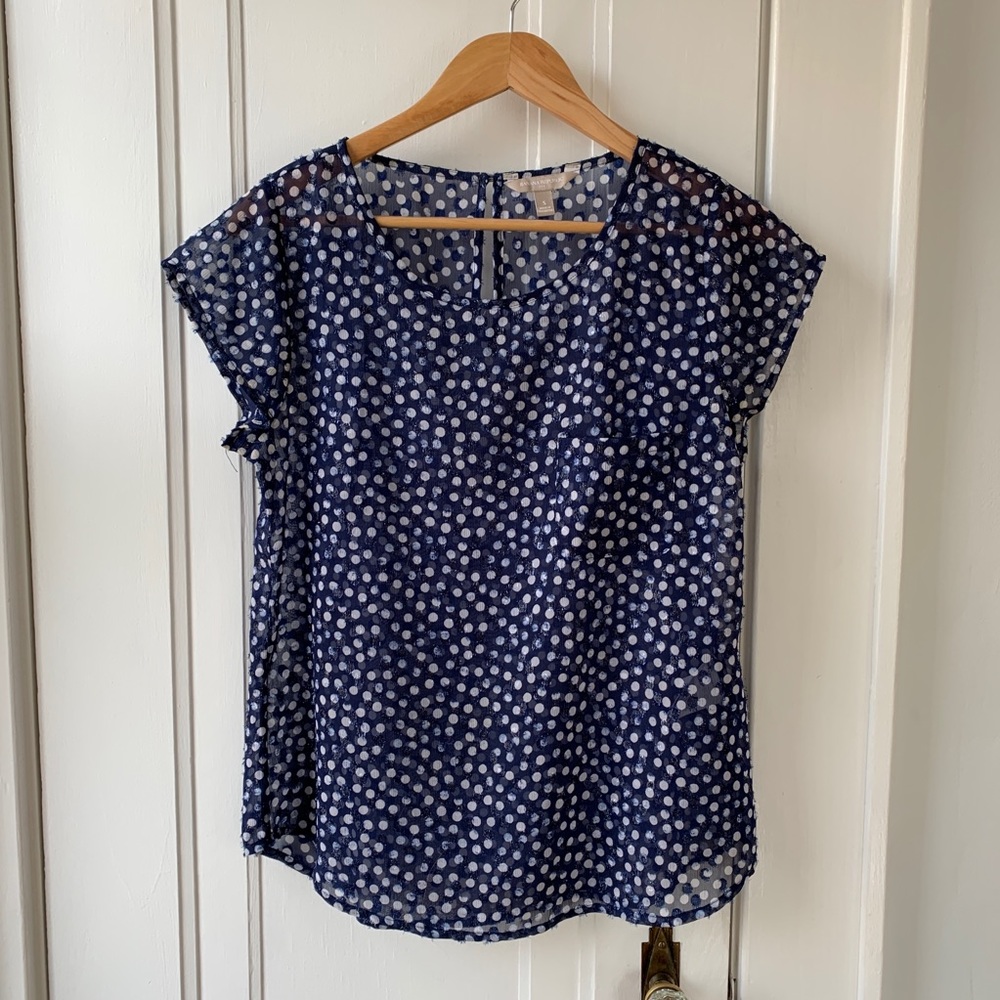 EUC Blue Polka Dot Sheer Shirt Sleeve Blouse